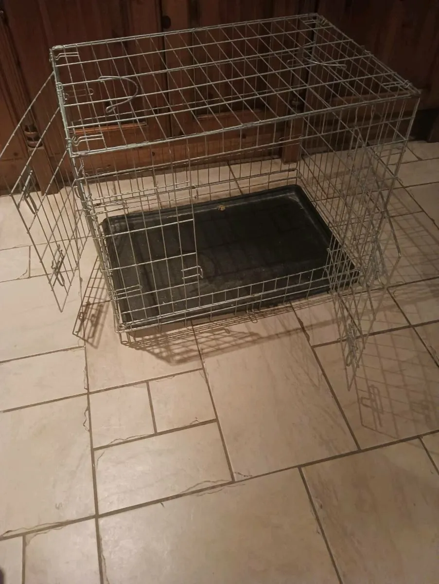 New dog cage 30 collect asap - Image 4