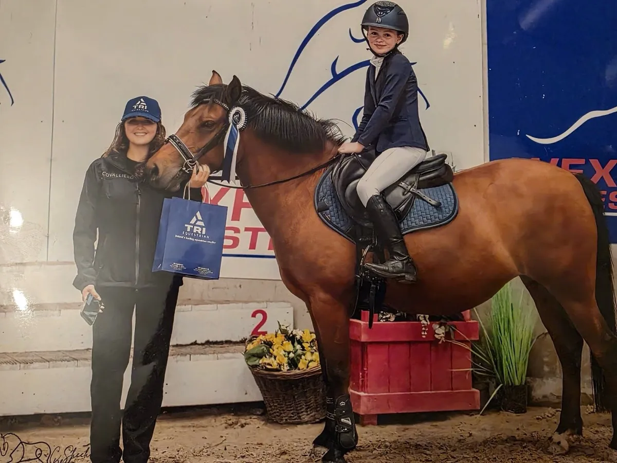 Stunning 133 schoolmaster pony - Image 1