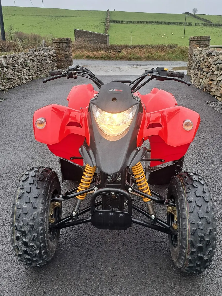 Quadzilla stinger 100cc - Image 2