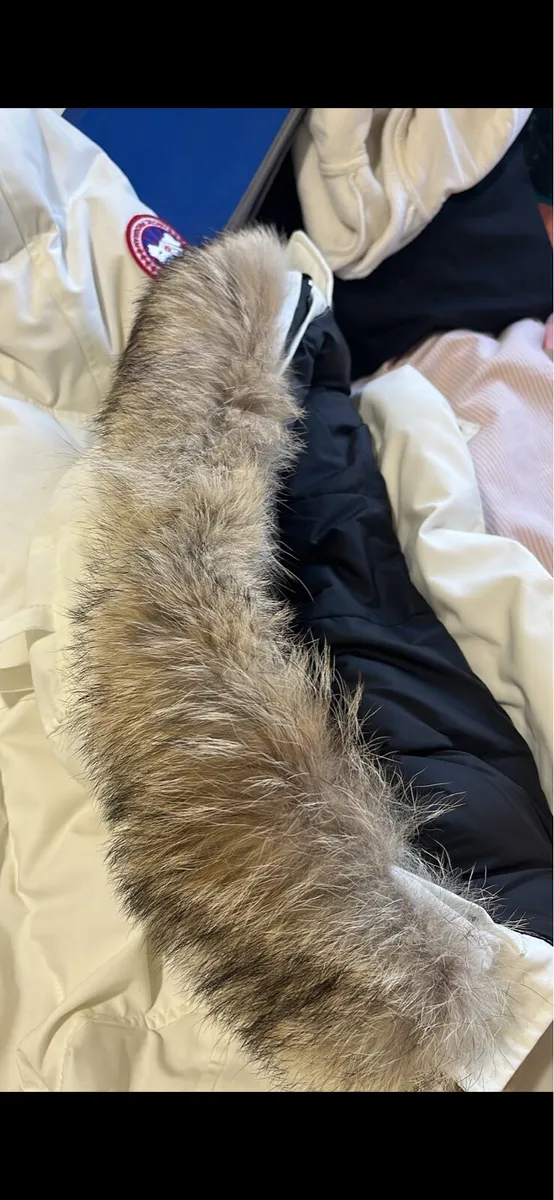 Canada Goose Wyndham Men’s North Star White - Image 4