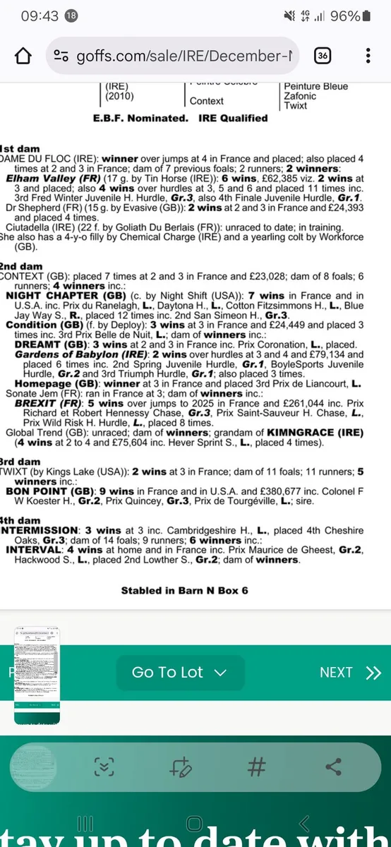 Thoroughbred broodmares - Image 2