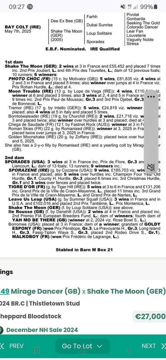 Thoroughbred broodmares - Image 3