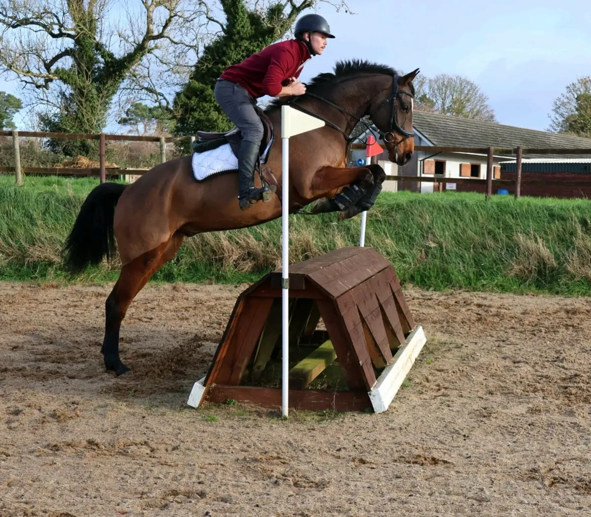 LOVELY ALLROUNDER/HUNTER - Image 1