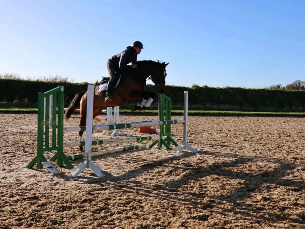 LOVELY ALLROUNDER/HUNTER - Image 2
