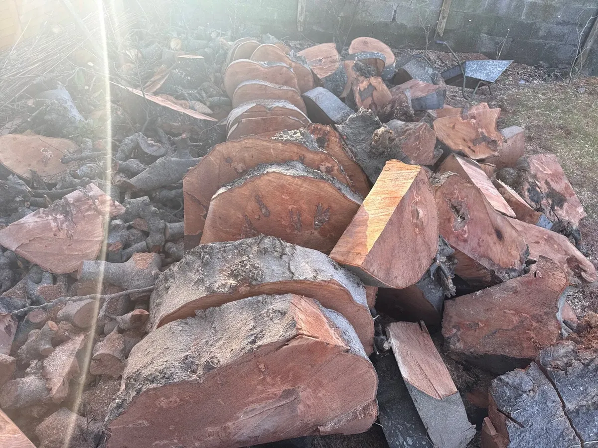Fire Wood - Image 4
