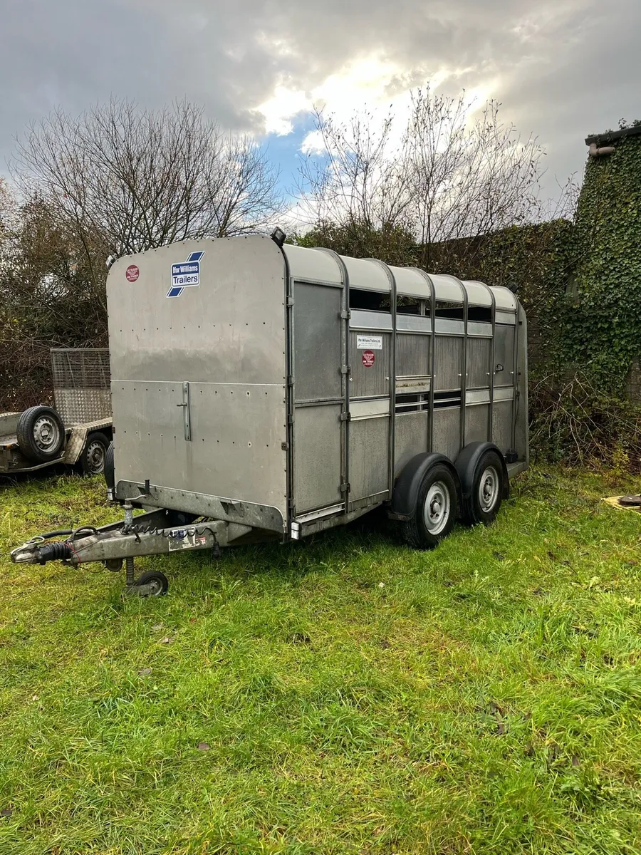 Ifor Williams cattle box - Image 1