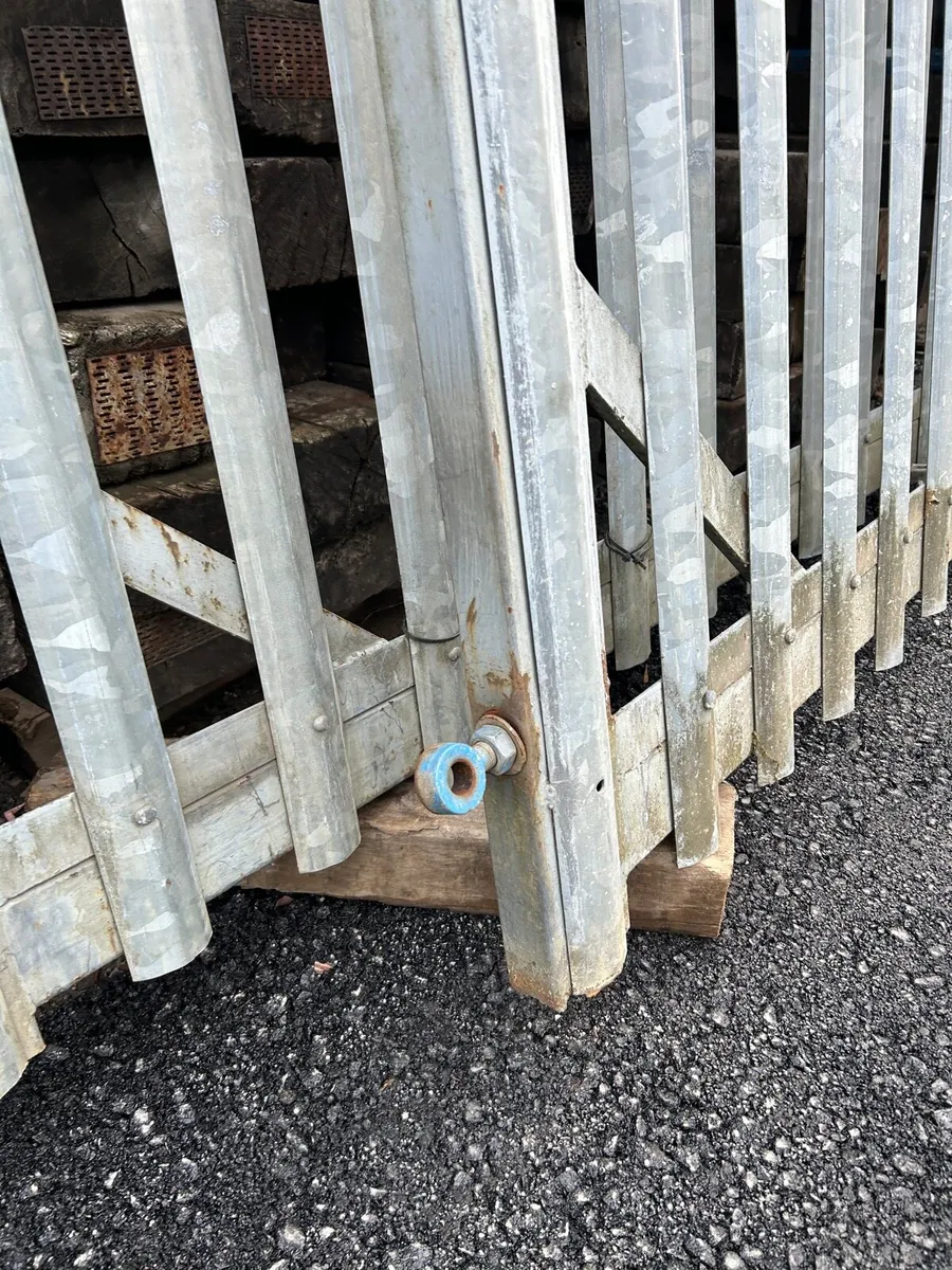 Palasade security/yard gates - Image 3