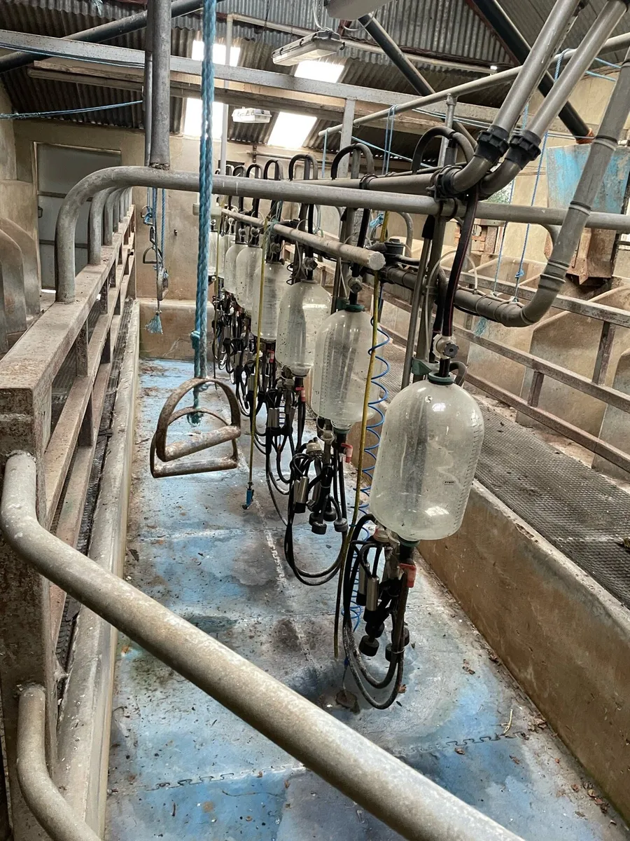 8 unit Milking parlour - Image 1