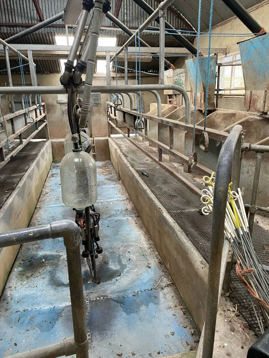 8 unit Milking parlour - Image 3