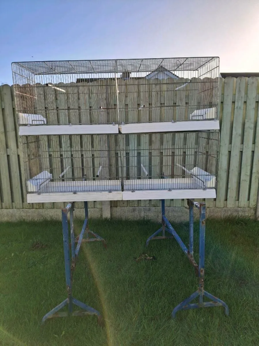 Cages and Nestboxes - Image 2