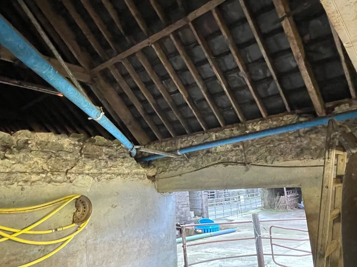 Automatic batch feeder - Image 3