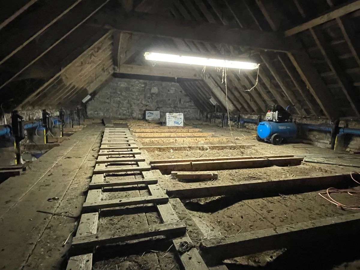 Automatic batch feeder - Image 4