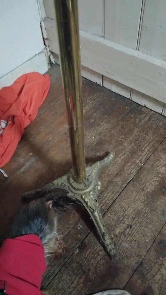 Antique 19rh century extendable oil lamp - Image 4