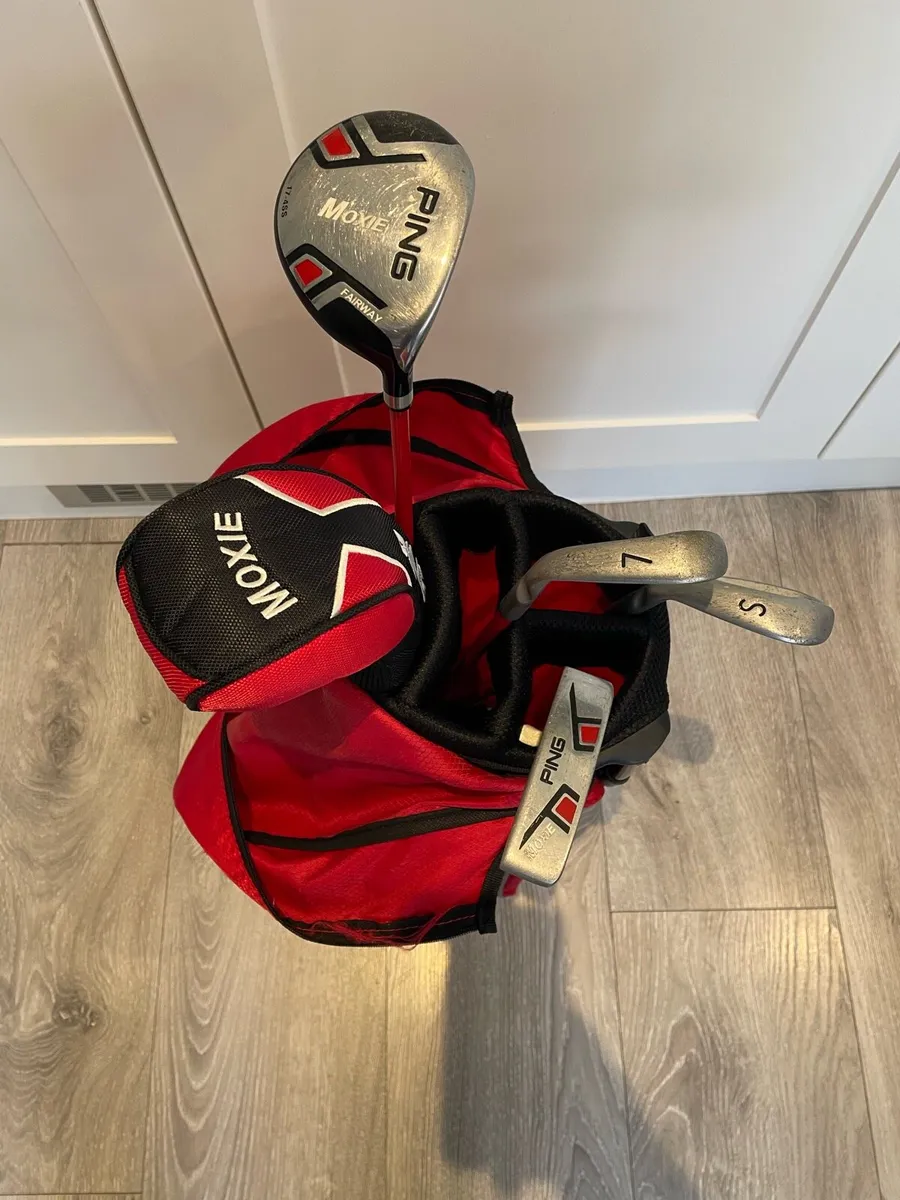 Ping Maximo Junior Golf Clubs - Image 4