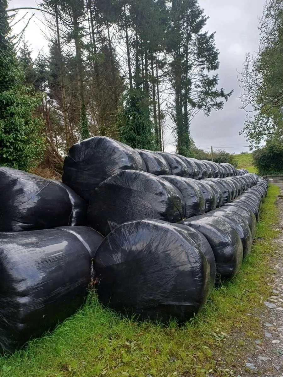 First cut silage for sale - Image 1
