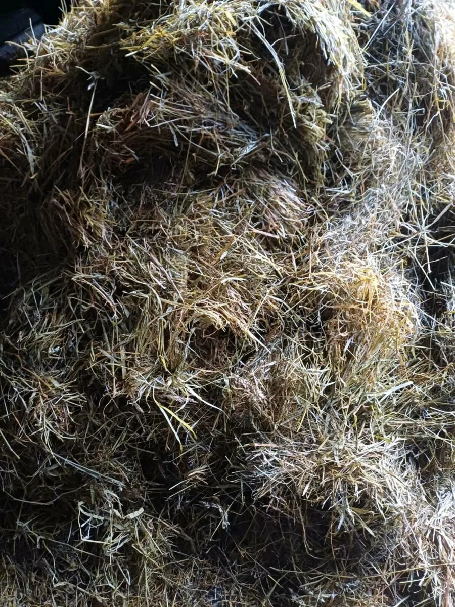 First cut silage for sale - Image 2