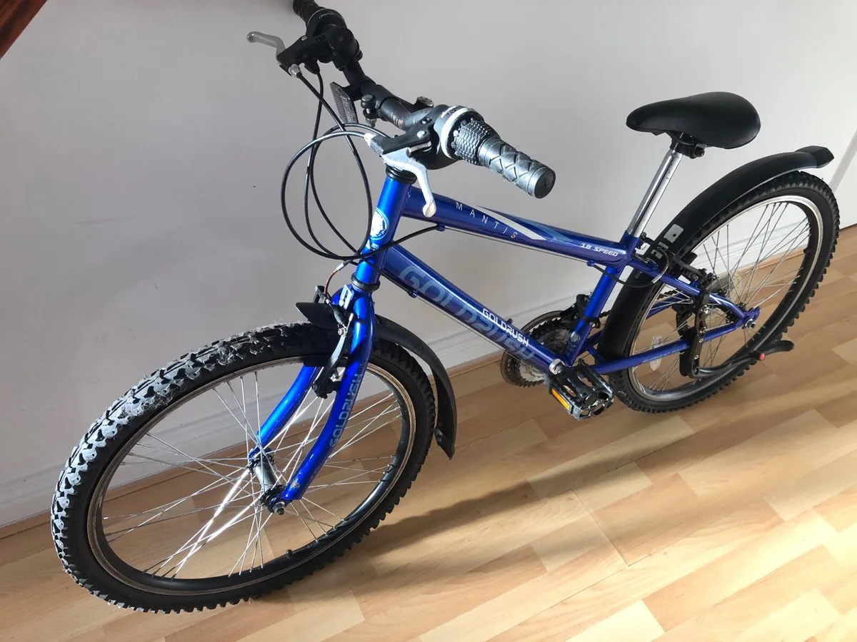 Mountain Bike 18 Speed Excellent Condition - Image 1