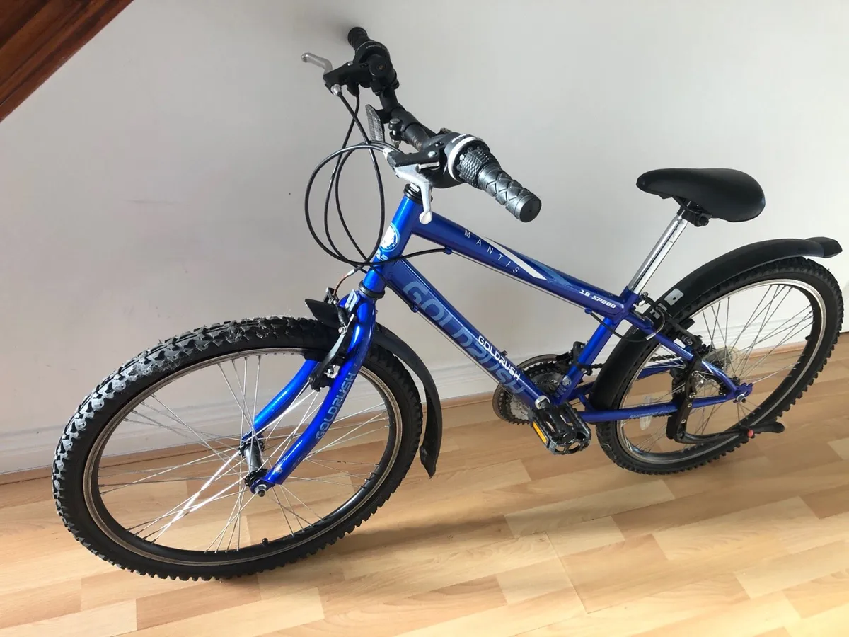 Mountain Bike 18 Speed Excellent Condition - Image 3