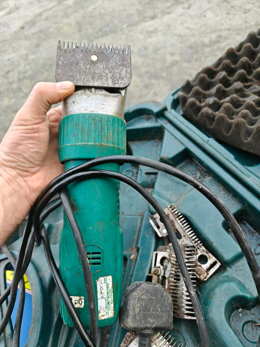 Cattle clippers - Image 2