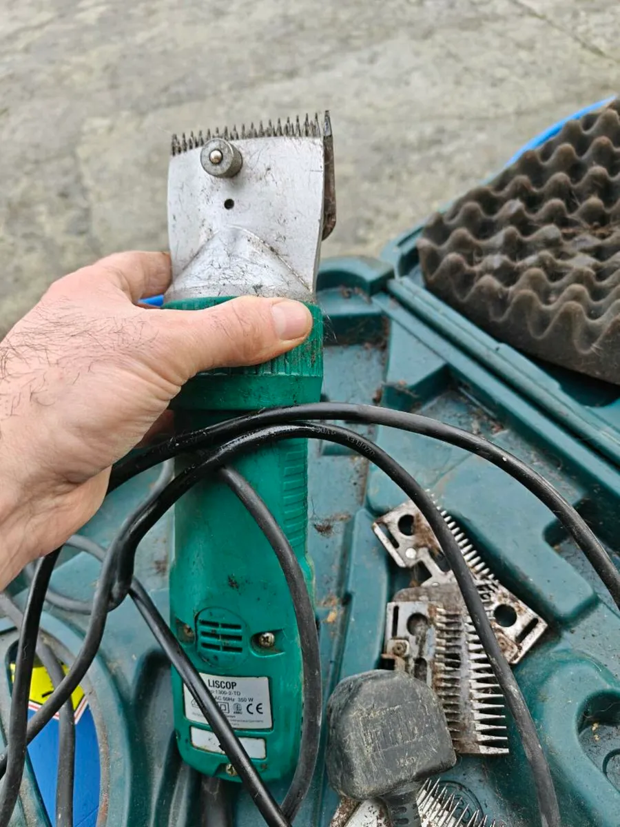 Cattle clippers - Image 3
