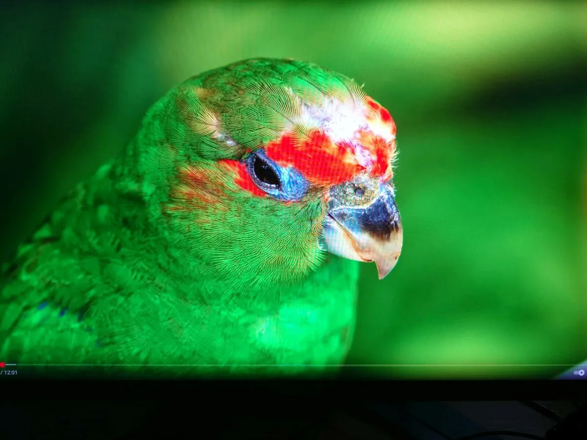 Gigabyte M32Q 32”165Hz(170-OC)2K QHD GamingMonitor - Image 3