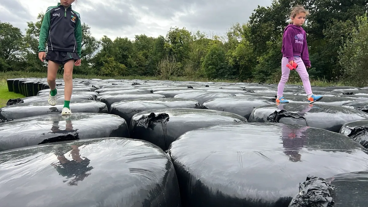 Haylage for sale (20% damage) - Image 3