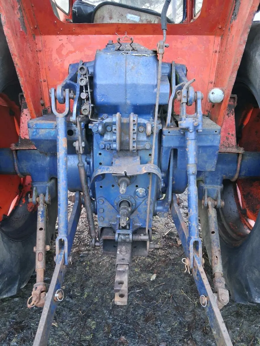 Same drago - Image 4