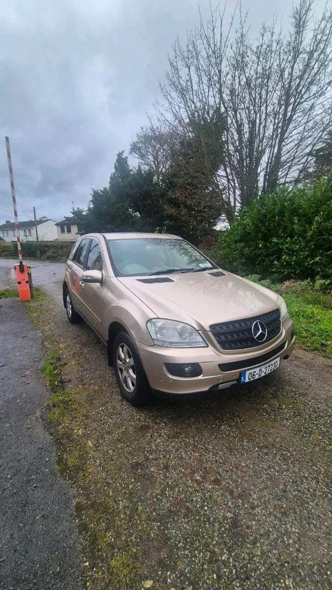 ML 320 Crew Cab - Image 1