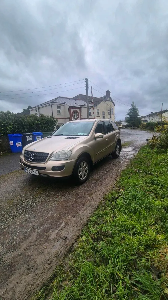 ML 320 Crew Cab - Image 2