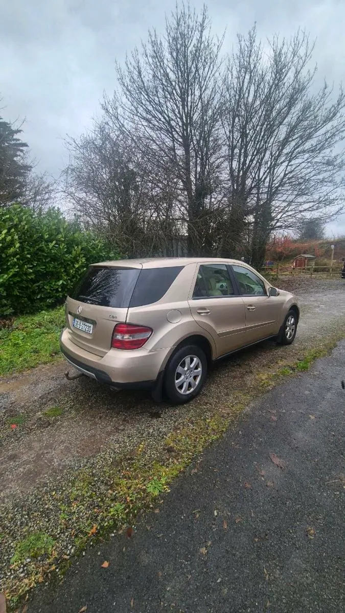 ML 320 Crew Cab - Image 3