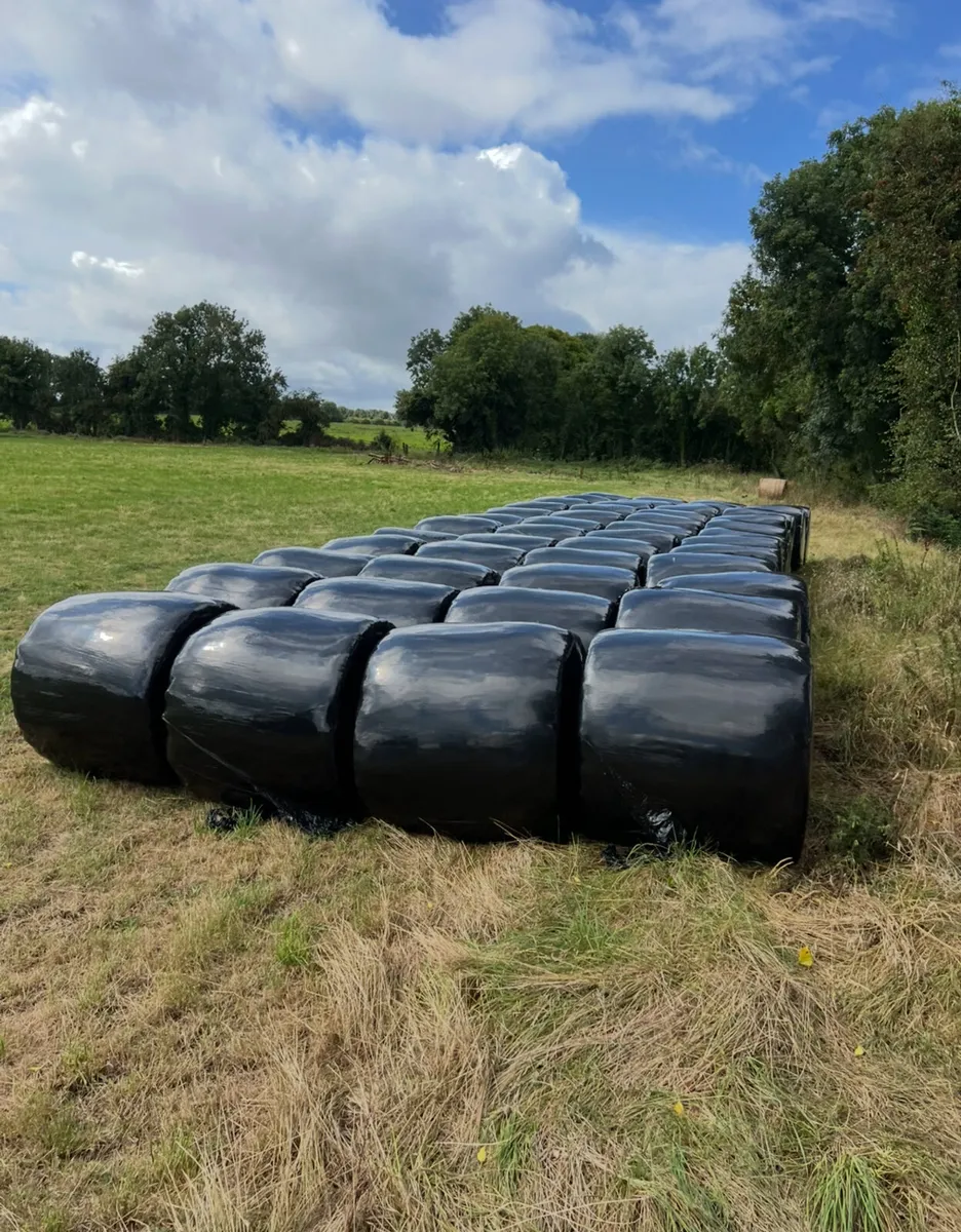 Haylage for sale (20% damage) - Image 2
