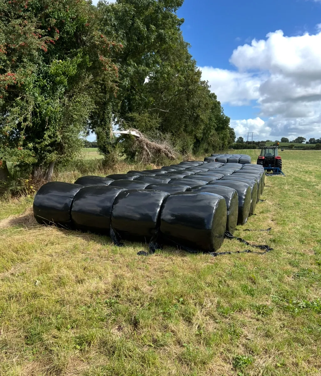 Haylage for sale (20% damage) - Image 1
