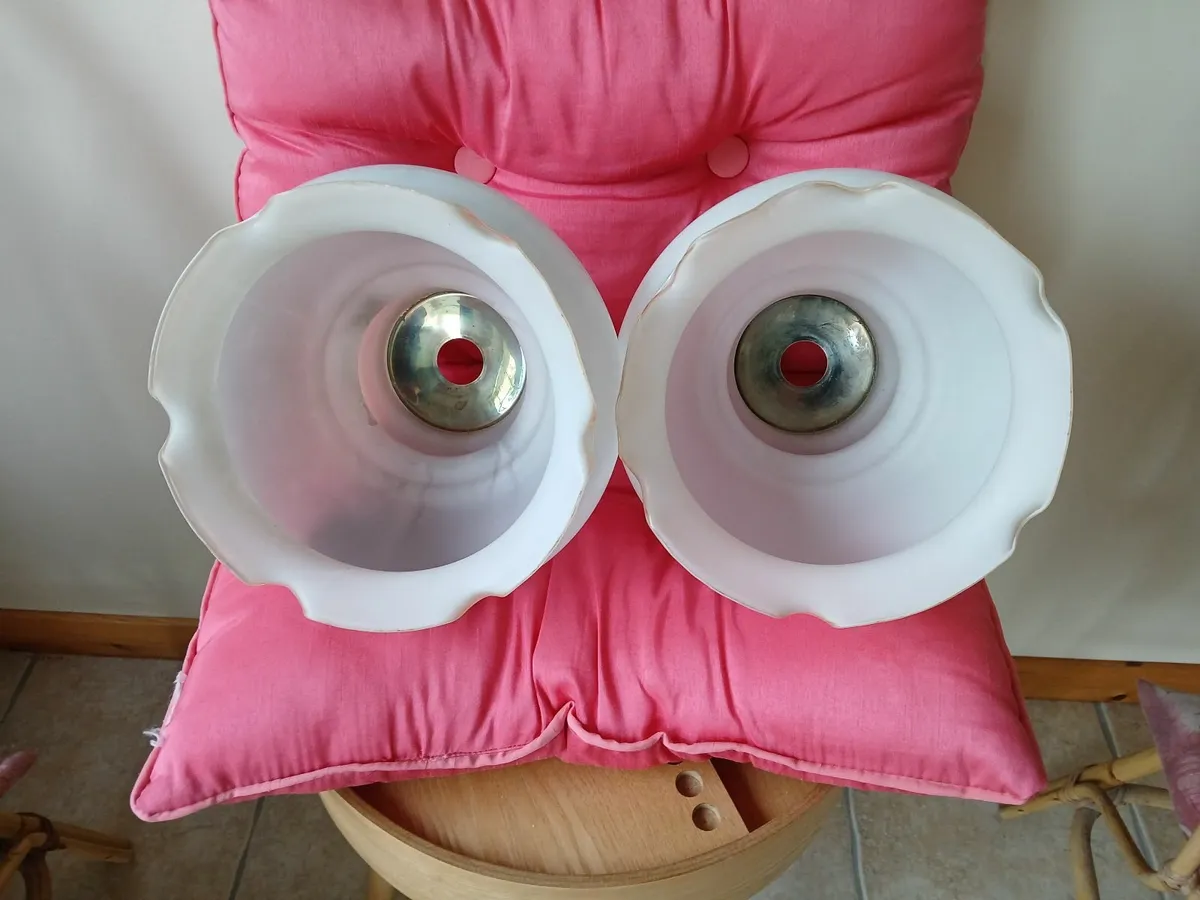 Lampshades - Image 2