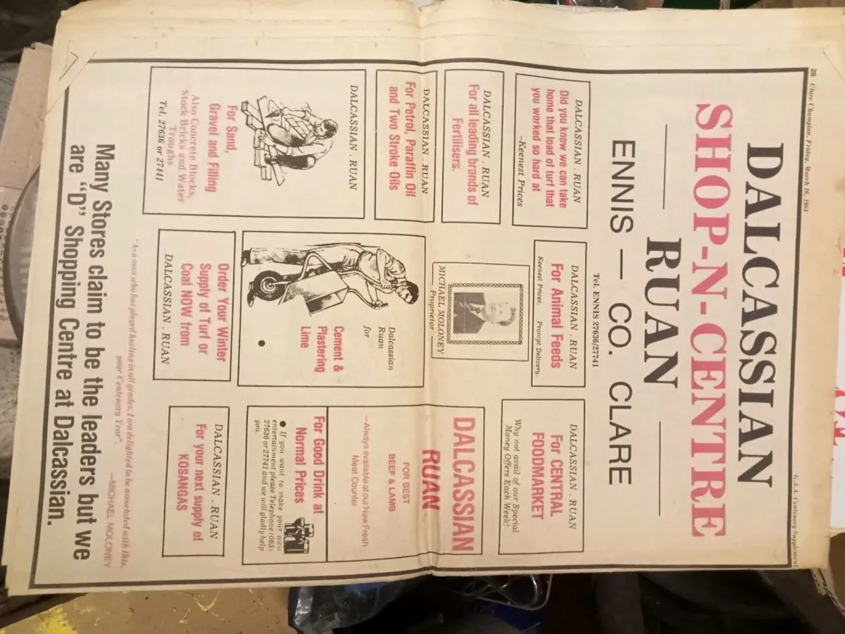 Old Clare champion - Image 2