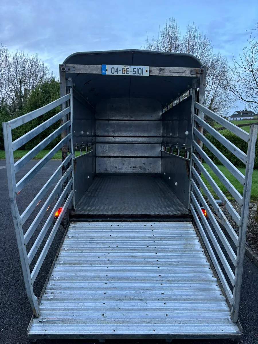 Ifor Williams 10x5"3 cattle box - Image 3