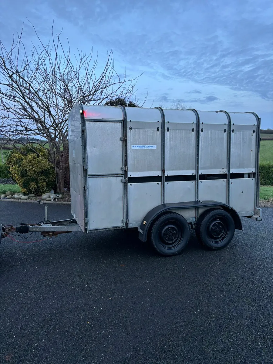 Ifor Williams 10x5"3 cattle box - Image 1