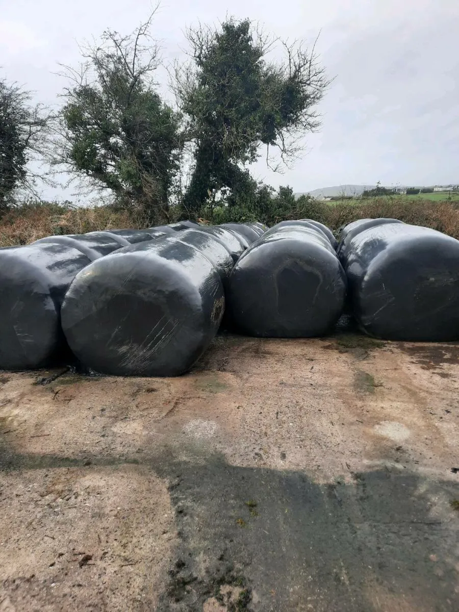 Silage bales 20 euro a bale - Image 3