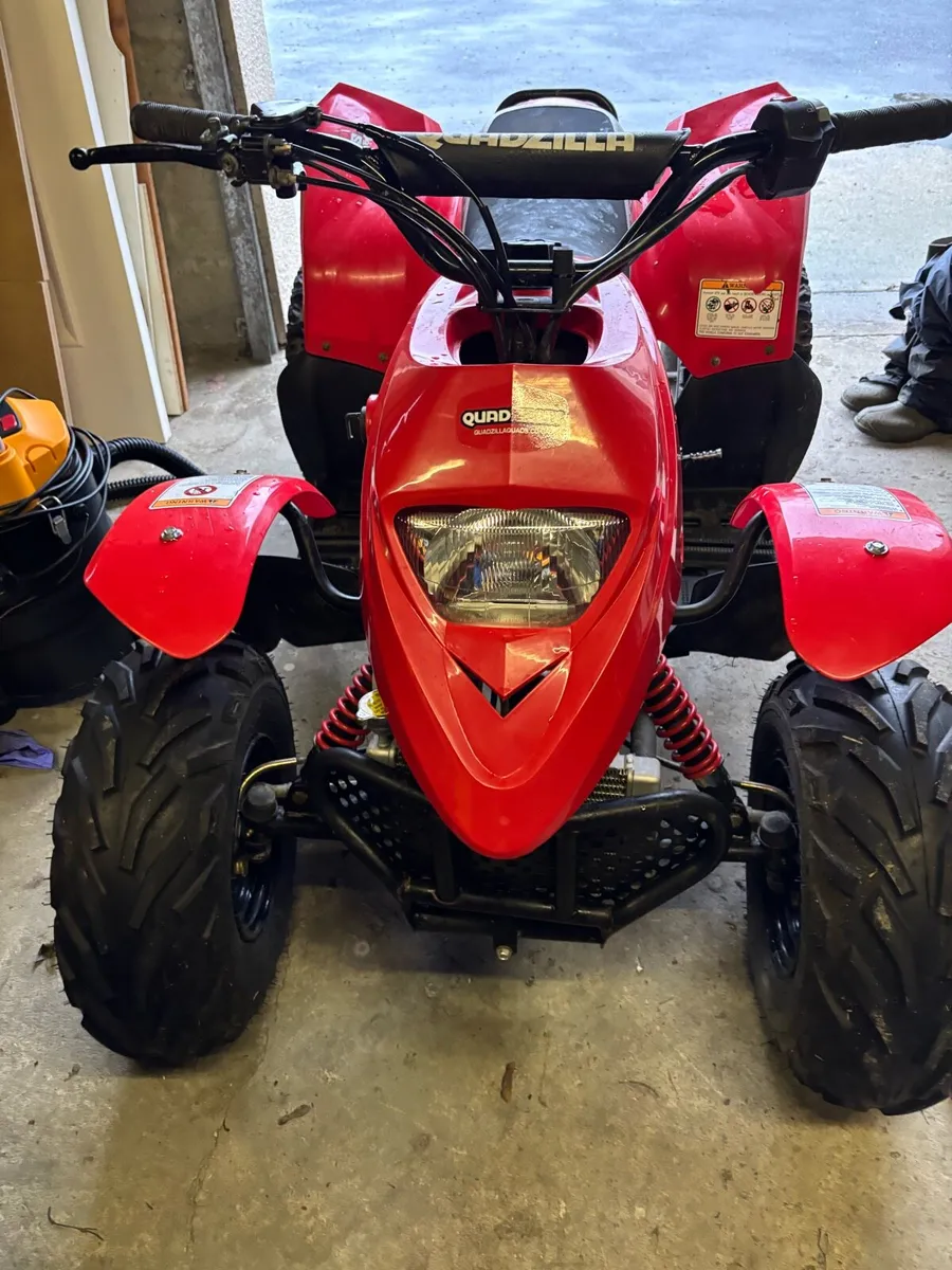 2024Quadzilla 100 shark - Image 1