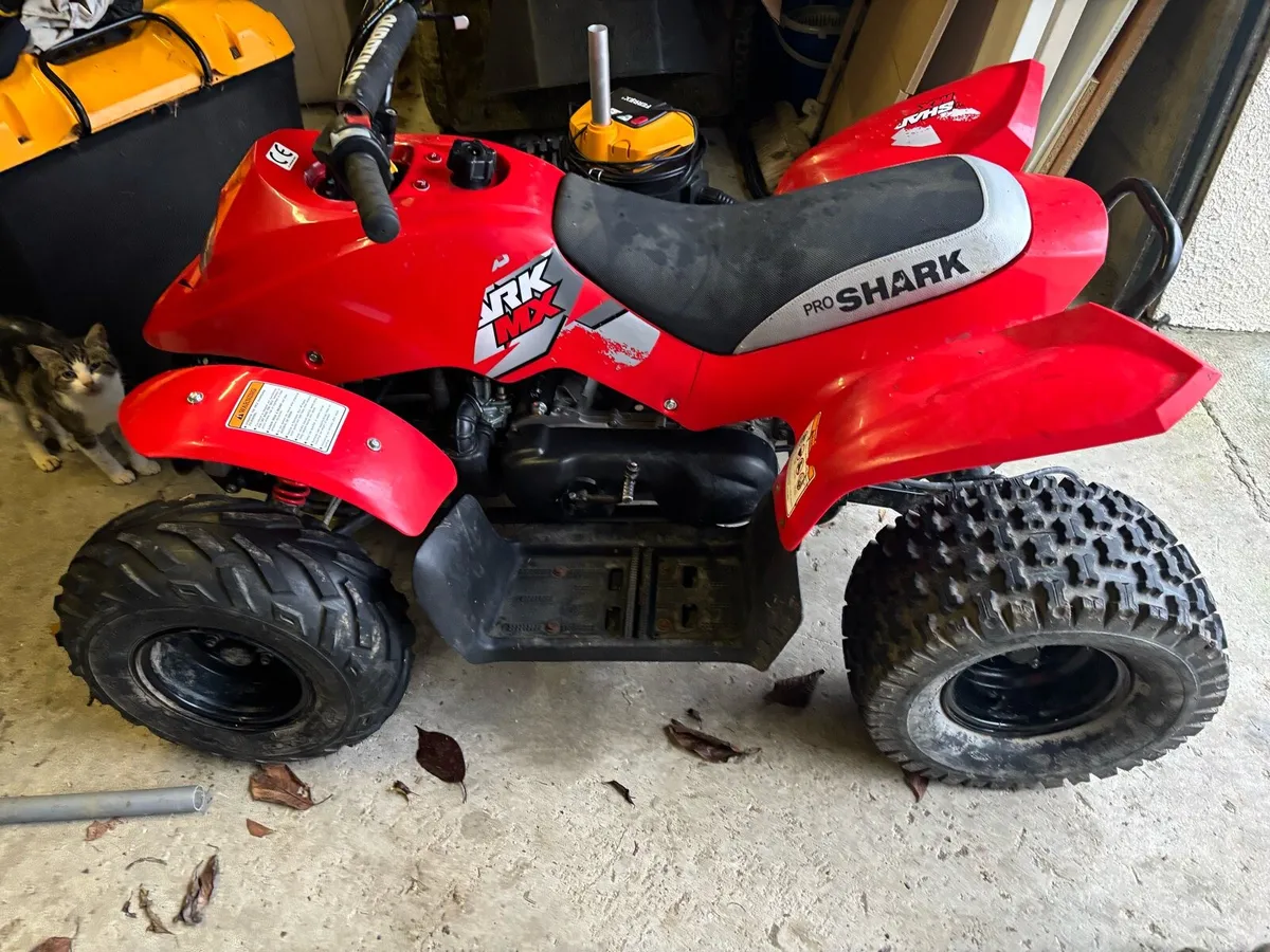 2024Quadzilla 100 shark - Image 2