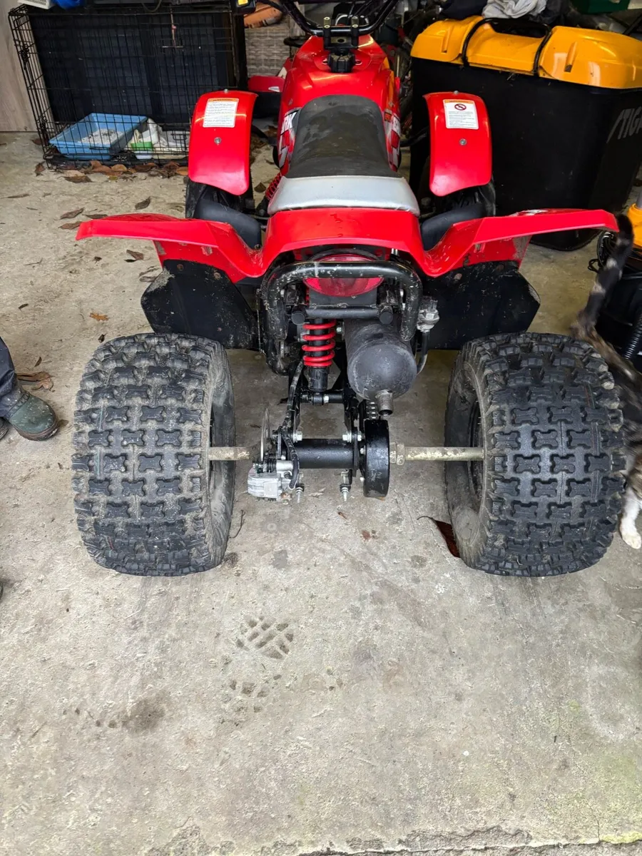 2024Quadzilla 100 shark - Image 3