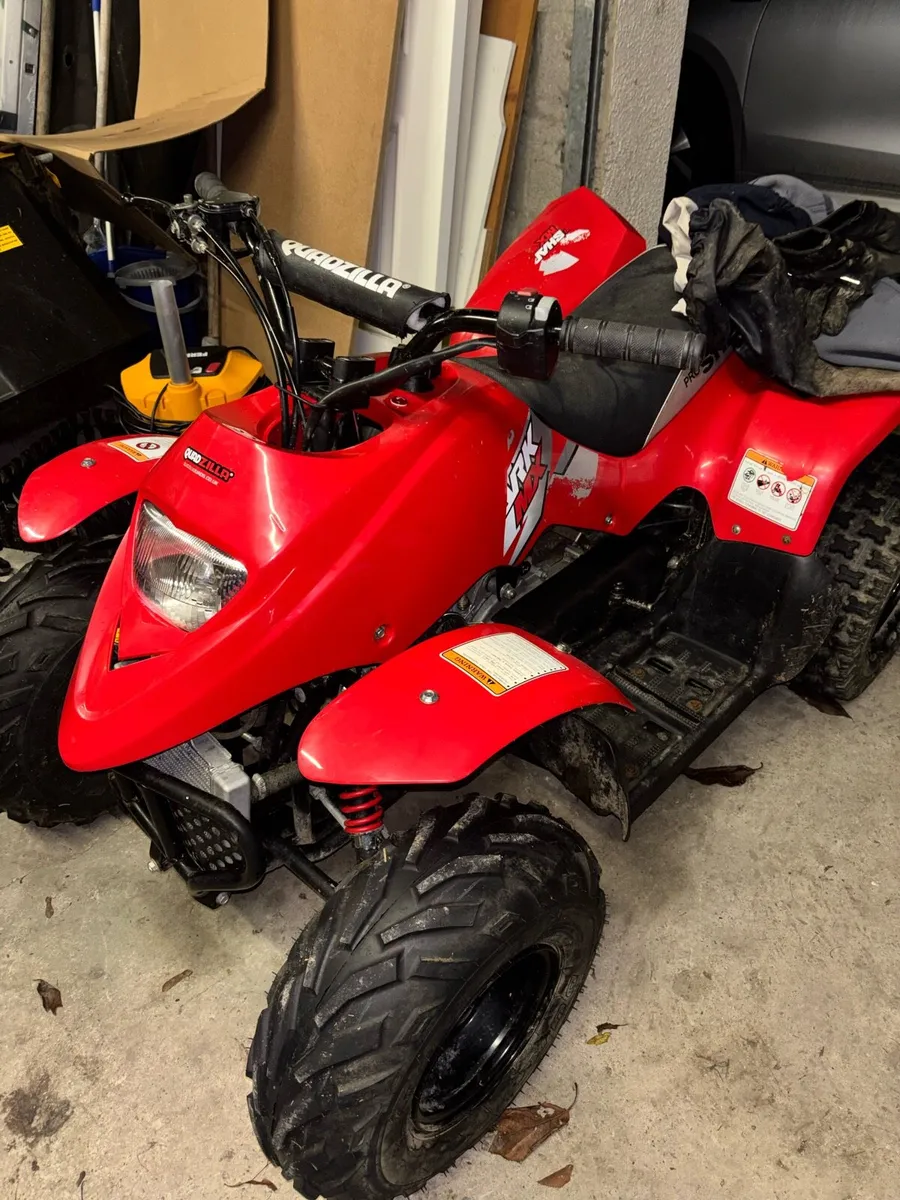 2024Quadzilla 100 shark - Image 4