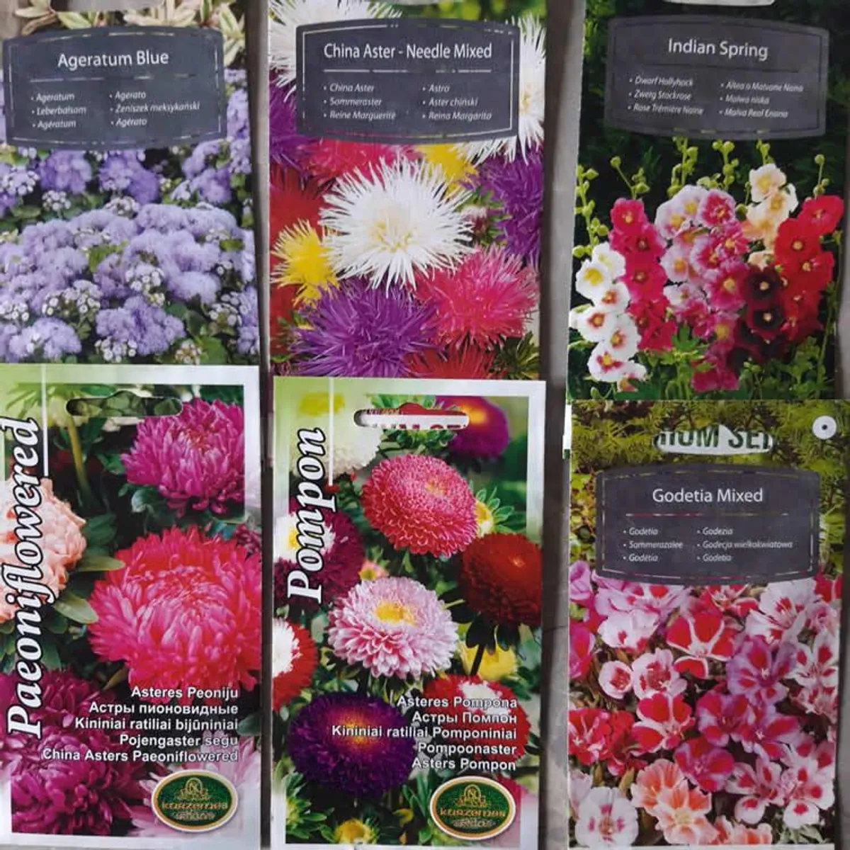 Over 100 different type of seeds at 1.00 euro per pack - Image 1