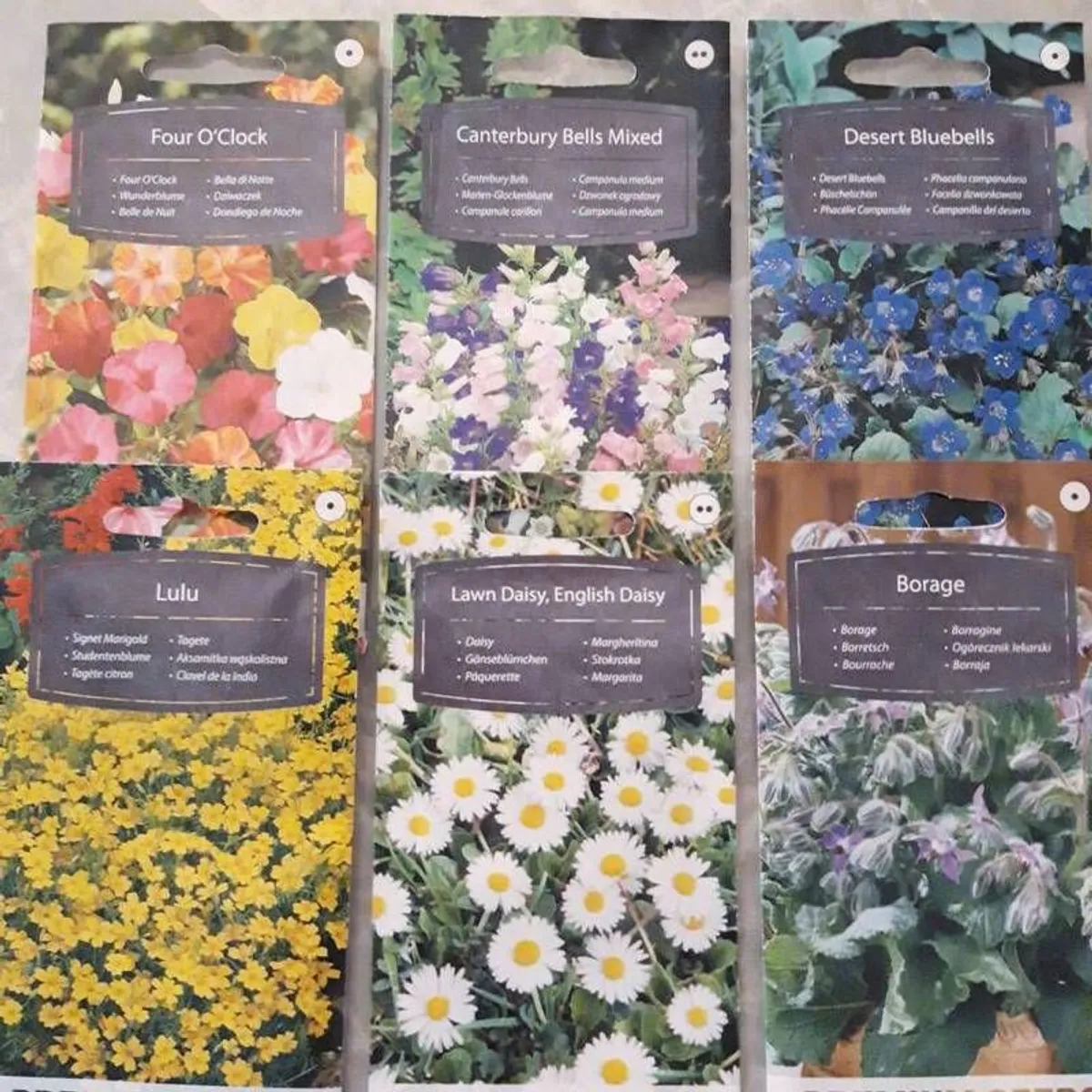 Over 100 different type of seeds at 1.00 euro per pack - Image 3