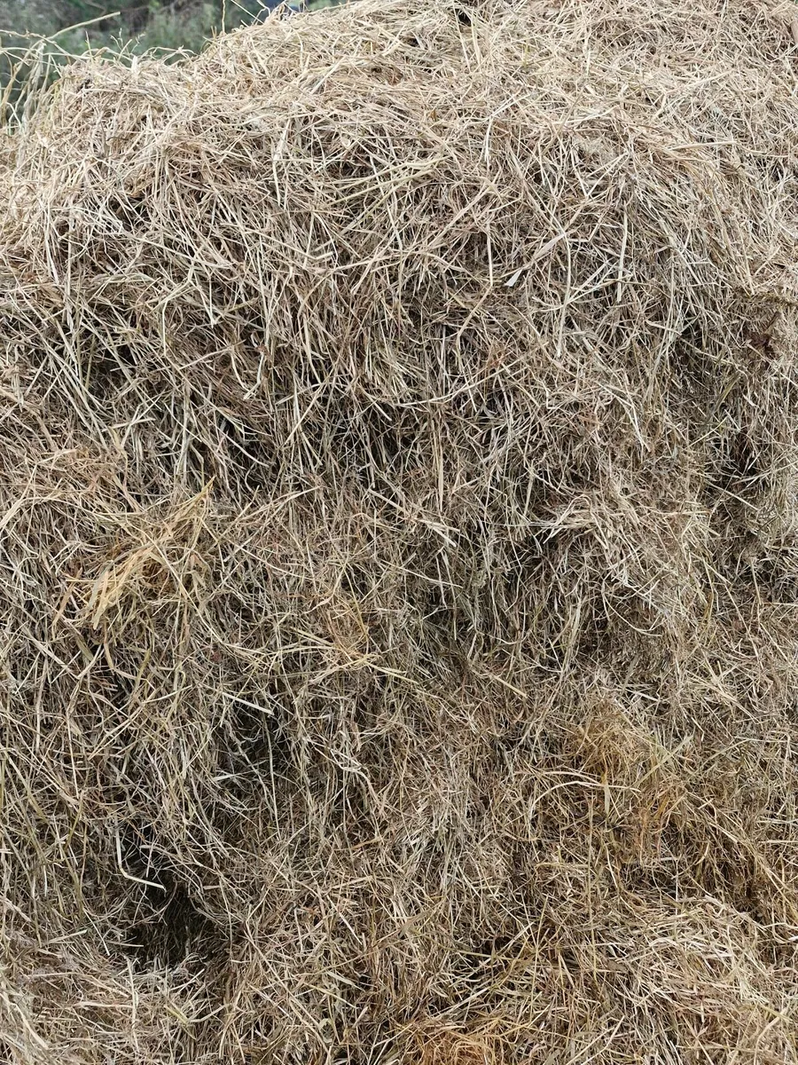 Haylage & Hay For Sale - Image 1