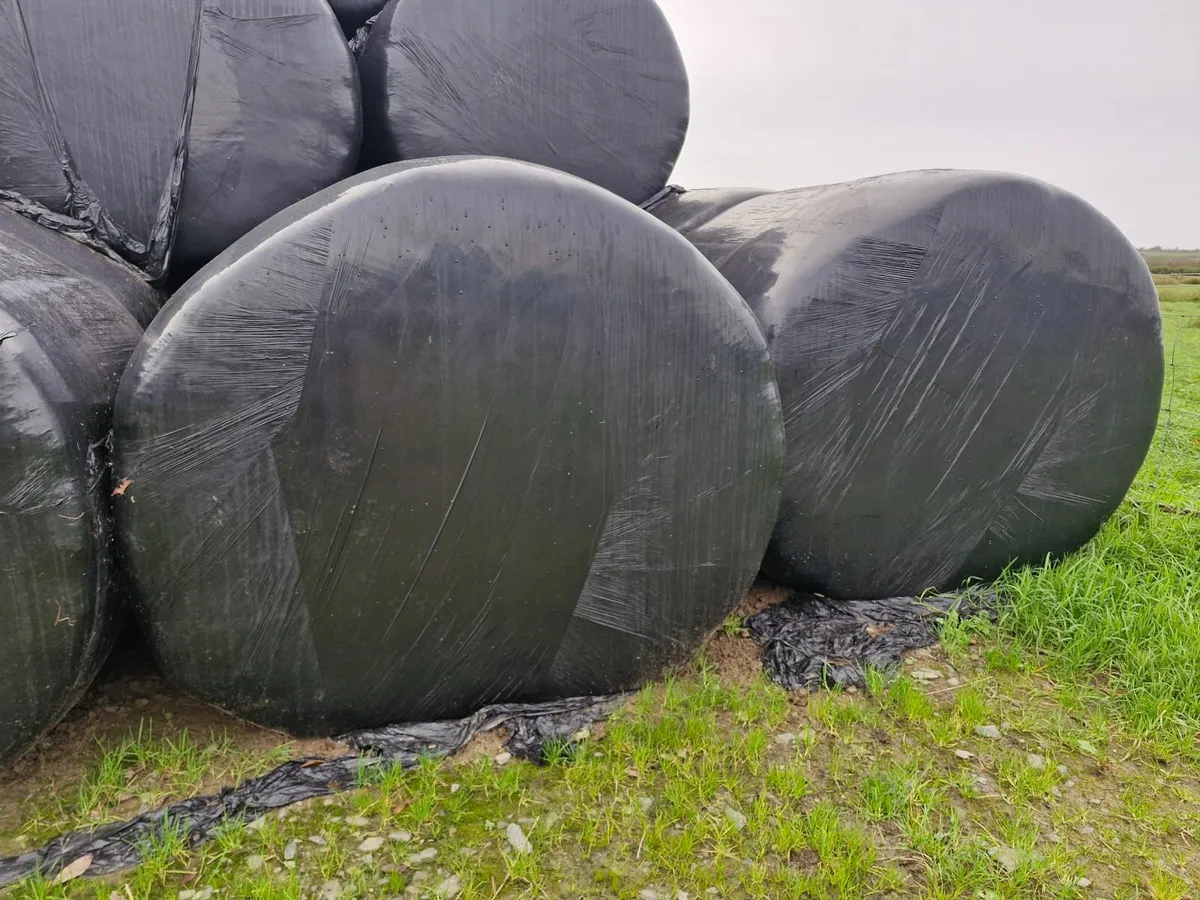 Haylage & Hay For Sale - Image 2