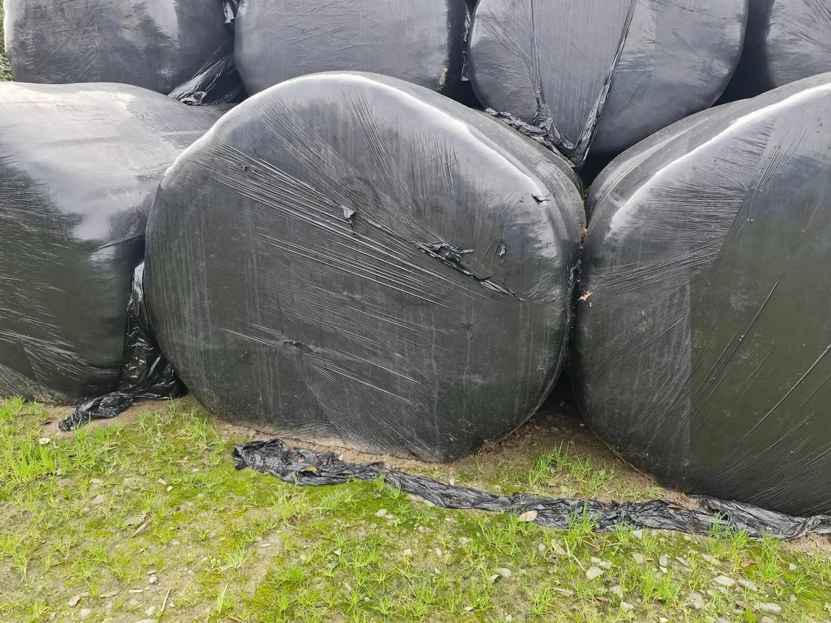 Haylage & Hay For Sale - Image 4