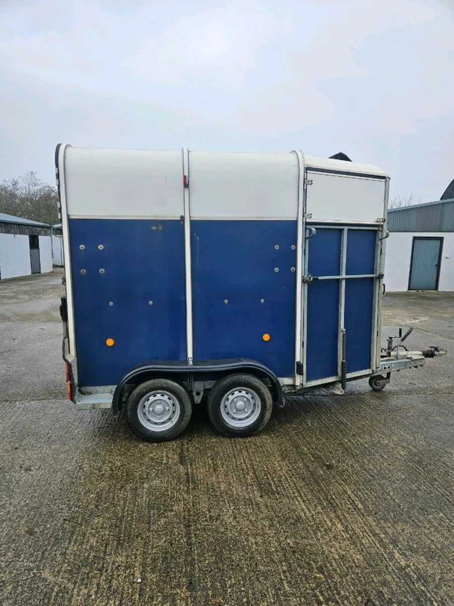 Horse box - Image 4