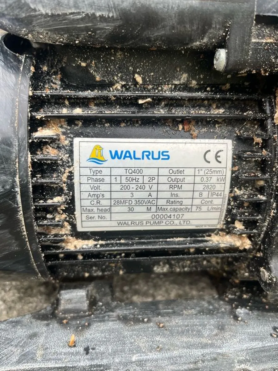 Walrus hot water pump - Image 2