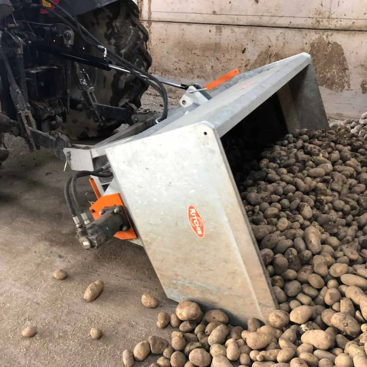 RITCHIE BEET/MEAL FEEDER, NEW IN STOCK - Image 2