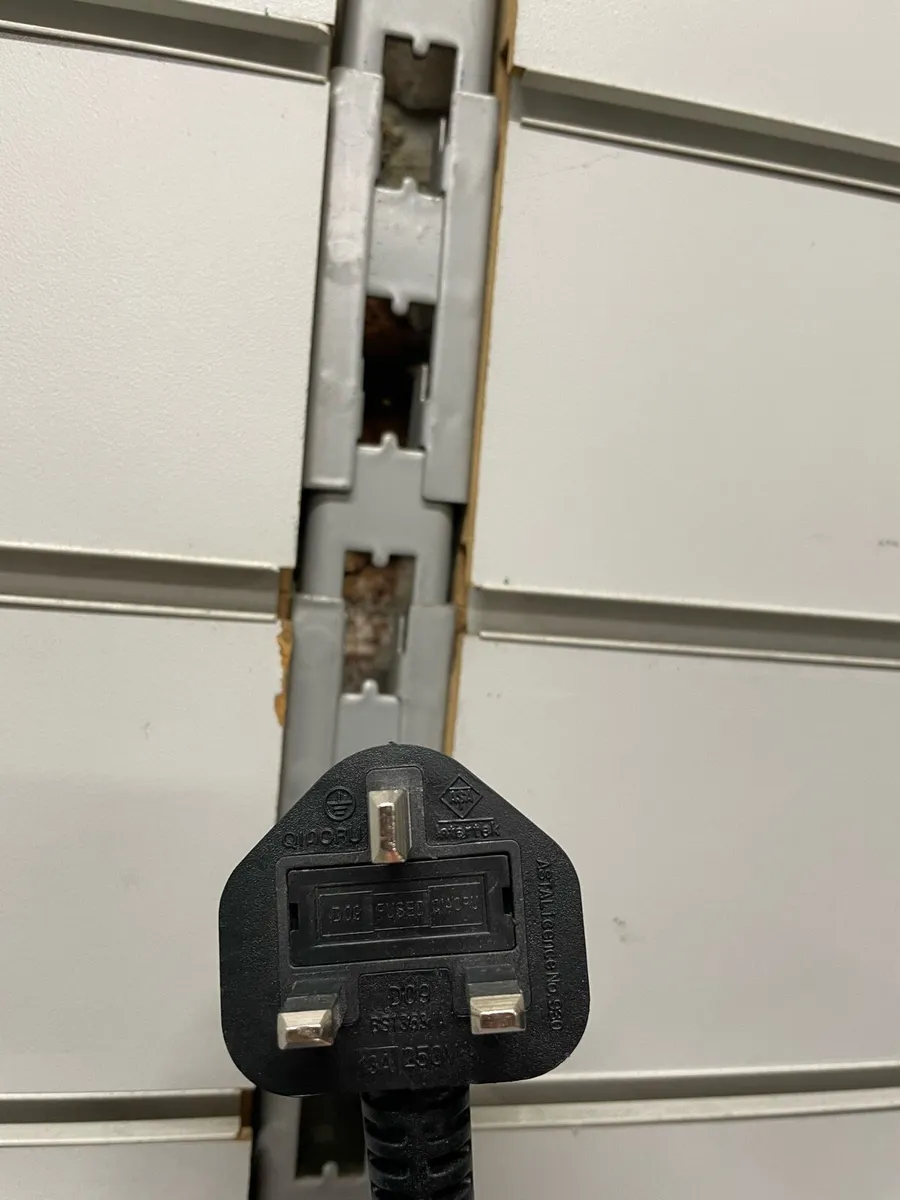 Freshman 10 watt guitar Amp - Image 3